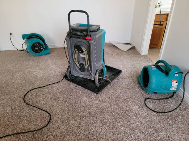 Best 24-hour water damage restoration  in Bowie, MD