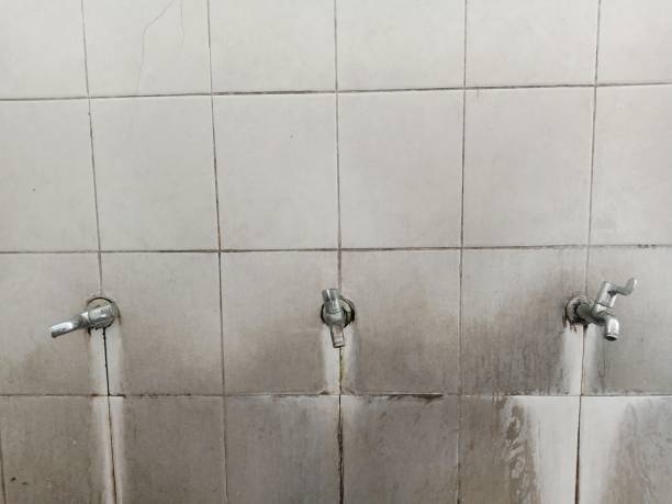 Best Water damage cleanup near me  in Bowie, MD