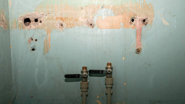 Best Sewage cleanup and water damage restoration  in Bowie, MD