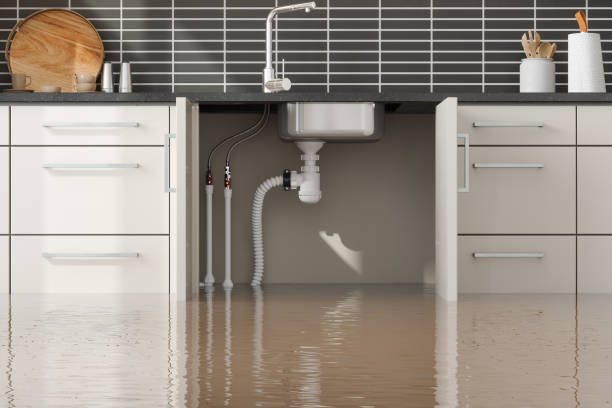 Best Flood restoration services  in Bowie, MD