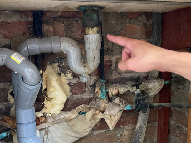 Best Ceiling water damage repair  in Bowie, MD