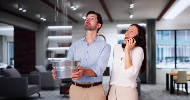 Best Ceiling water damage repair  in Bowie, MD