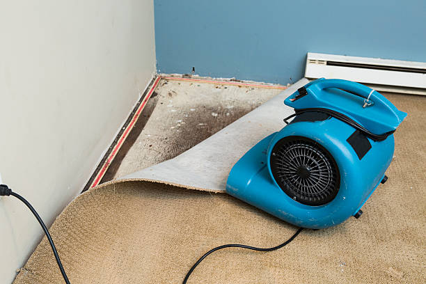 Best Flood restoration services  in Bowie, MD